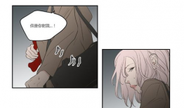 狐狸在说什么漫画,揭开漫画中的神秘面纱